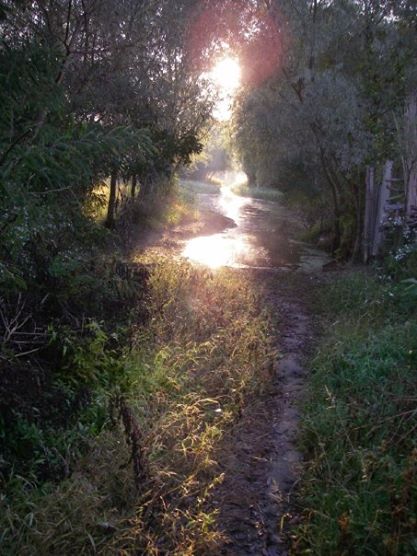 1928238_1122276135494_359933_n