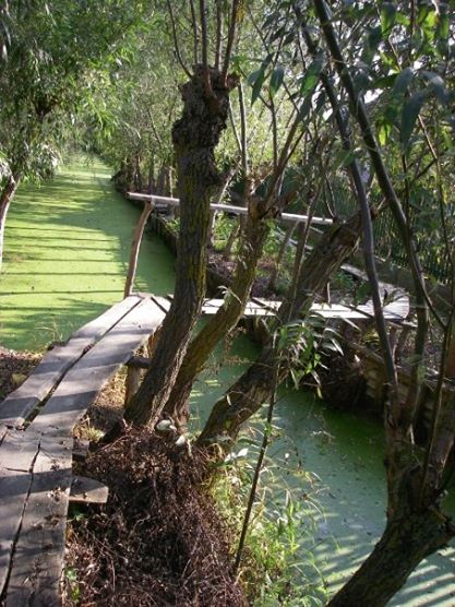 1928238_1122276295498_171756_n