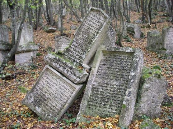 1928238_1122276775510_3372343_n