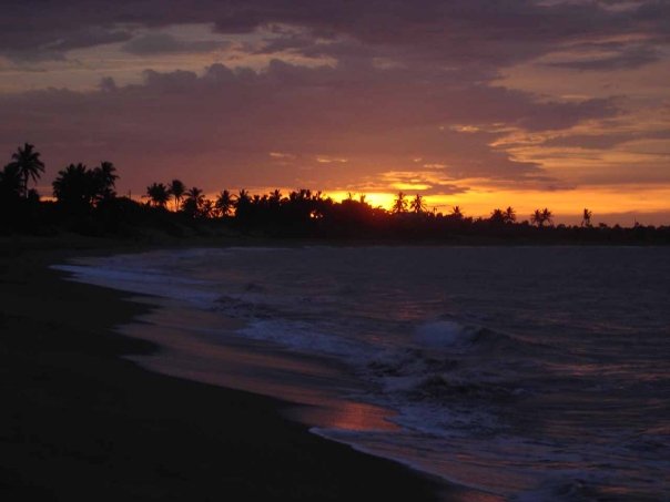 2237_1105753762445_8470_n