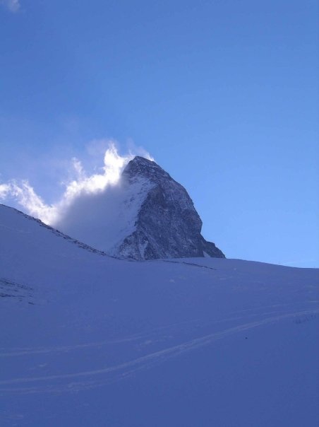 2237_1105769442837_9104_n