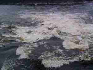 gatV_3rd_center_mike2