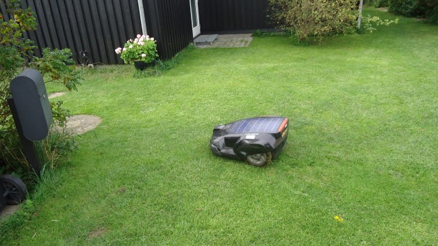 The Mayor lived next door and had the cutest autonomous lawn mowing robot that I couldn't help but to sneak over and pet every time we rode by.