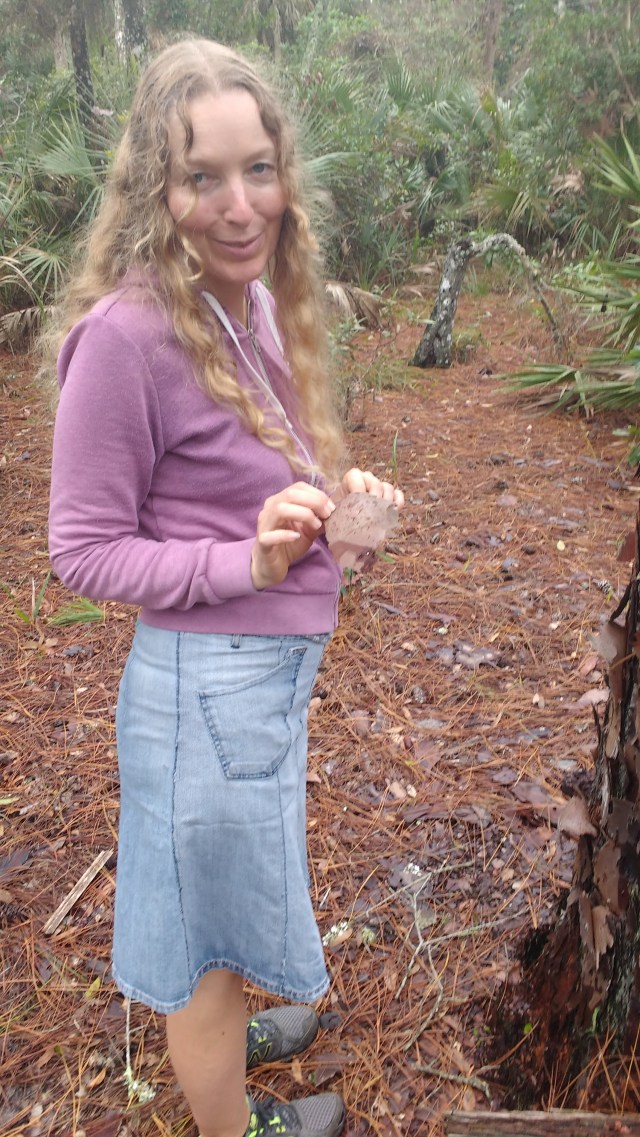 IMG_20151205_132810853